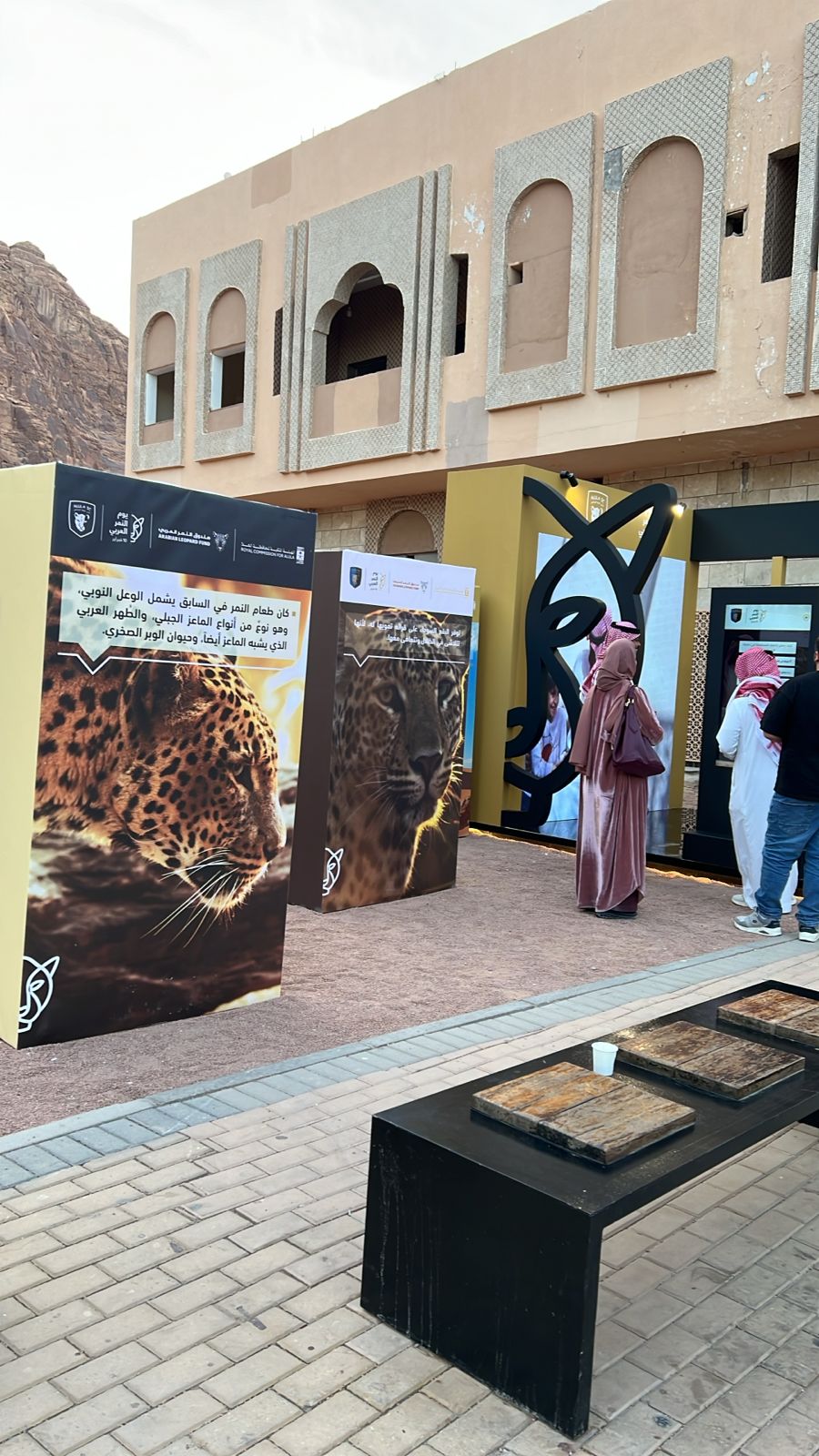 Arabian Leopard — gallery image 3